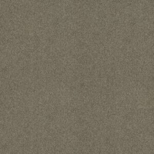 Shaw Floors Carpet Acadia Park City Gray 00558_ZZ044