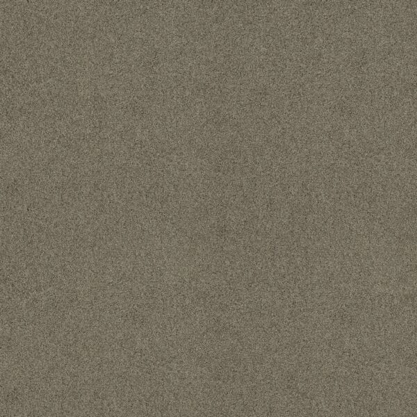 Shaw Floors Carpet Acadia Park City Gray 00558_ZZ044