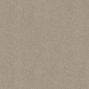 Shaw Floors Carpet Acadia Park Smoky Suede 00712_ZZ044