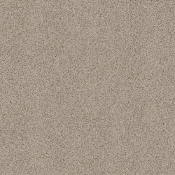 Shaw Floors Carpet Acadia Park Smoky Suede 00712_ZZ044