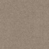 Shaw Floors Carpet Acadia Park Mushroom 00725_ZZ044