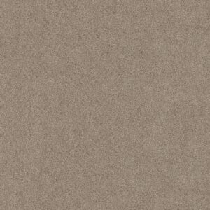Shaw Floors Carpet Acadia Park Mushroom 00725_ZZ044