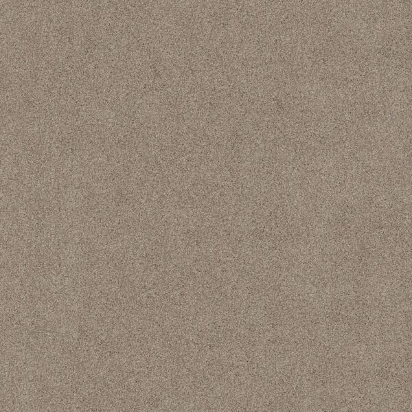 Shaw Floors Carpet Acadia Park Mushroom 00725_ZZ044