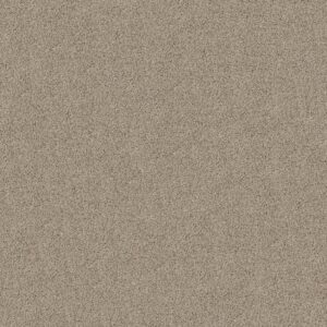 Shaw Floors Carpet Acadia Park Clay 00732_ZZ044