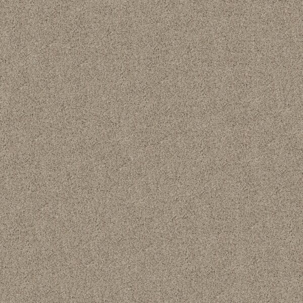 Shaw Floors Carpet Acadia Park Clay 00732_ZZ044
