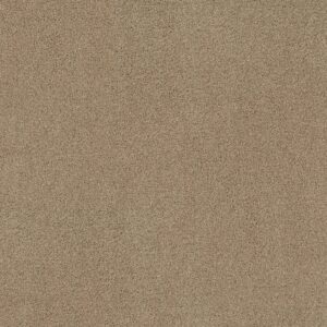 Shaw Floors Carpet Acadia Park Serengeti 00733_ZZ044