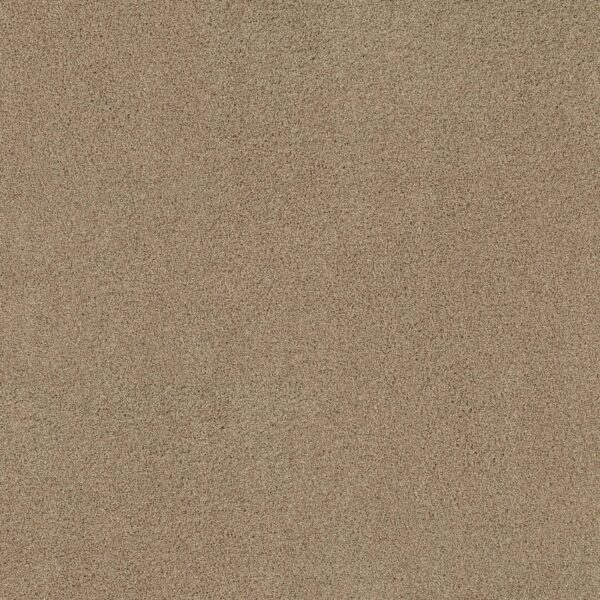 Shaw Floors Carpet Acadia Park Serengeti 00733_ZZ044