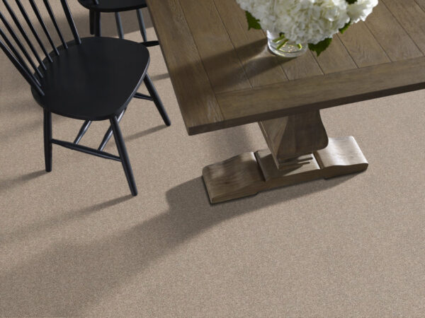 Shaw Floors Carpet Acadia Park Caribou 00756_ZZ044 - Image 2