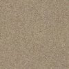 Shaw Floors Carpet Acadia Park Canoe 00773_ZZ044