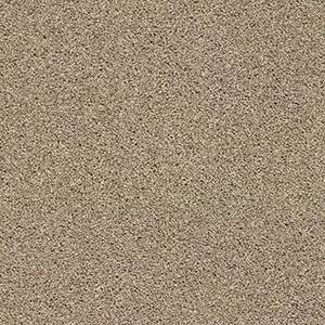 Shaw Floors Carpet Acadia Park Canoe 00773_ZZ044