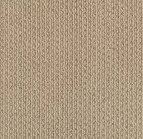 Shaw Floors Carpet Chapel Ridge Sandcastle 00113_ZZ045