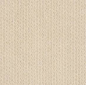 Shaw Floors Carpet Chapel Ridge Dream Dust 00220_ZZ045