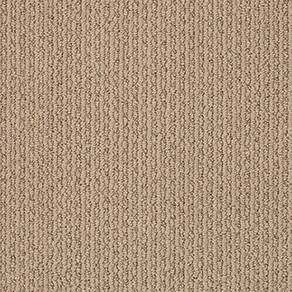 Shaw Floors Carpet Chapel Ridge Sierra 00224_ZZ045
