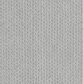 Shaw Floors Carpet Chapel Ridge Cool Ash 00511_ZZ045