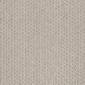 Shaw Floors Carpet Chapel Ridge Cement 00512_ZZ045