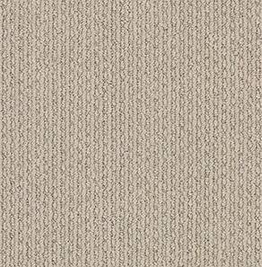 Shaw Floors Carpet Chapel Ridge Canvas 00553_ZZ045