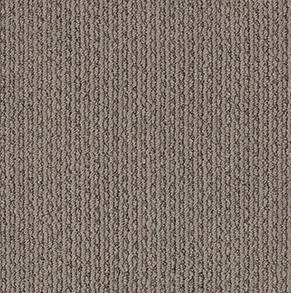 Shaw Floors Carpet Chapel Ridge Simply Taupe 00572_ZZ045