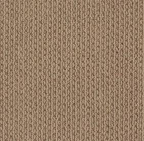 Shaw Floors Carpet Chapel Ridge Sherwood 00722_ZZ045