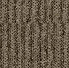 Shaw Floors Carpet Chapel Ridge Clay 00725_ZZ045
