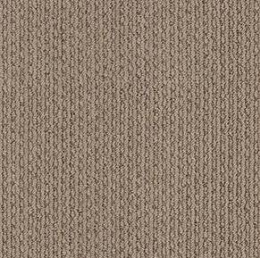 Shaw Floors Carpet Chapel Ridge Sable 00754_ZZ045