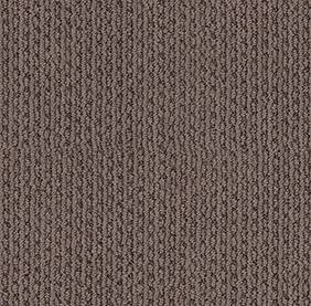 Shaw Floors Carpet Chapel Ridge Husky 00756_ZZ045