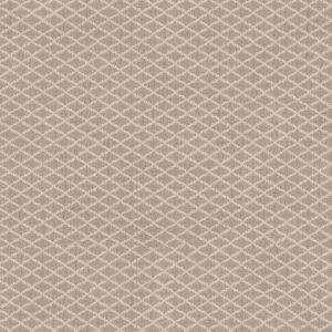 Anderson Tuftex Carpet Springer'S Point Almond 00112_ZZ049