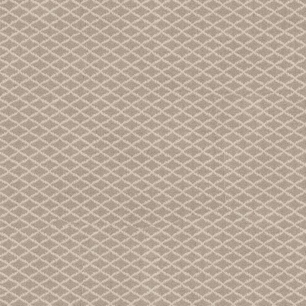 Anderson Tuftex Carpet Springer'S Point Almond 00112_ZZ049