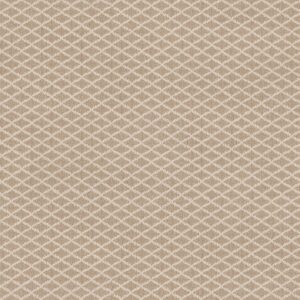 Anderson Tuftex Carpet Springer'S Point Mohair 00212_ZZ049