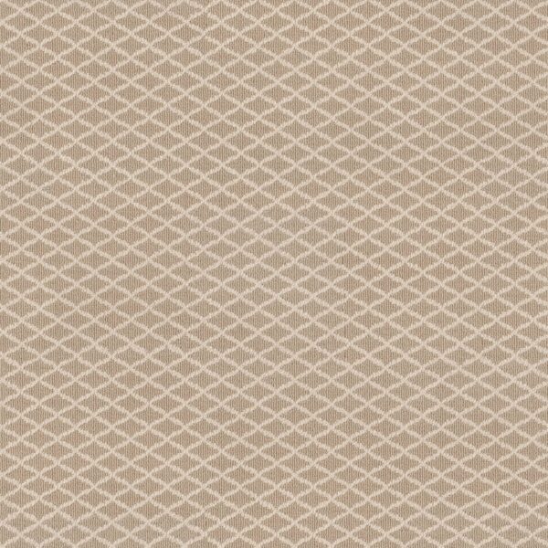 Anderson Tuftex Carpet Springer'S Point Mohair 00212_ZZ049