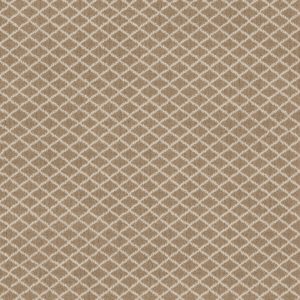 Anderson Tuftex Carpet Springer'S Point Twilight Gold 00213_ZZ049