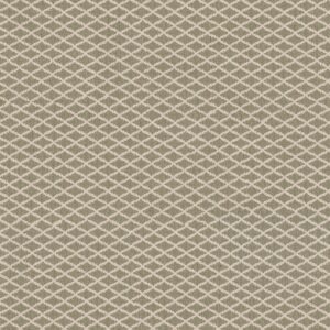 Anderson Tuftex Carpet Springer'S Point Spring Mist 00313_ZZ049
