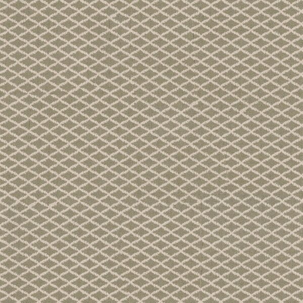 Anderson Tuftex Carpet Springer'S Point Spring Mist 00313_ZZ049