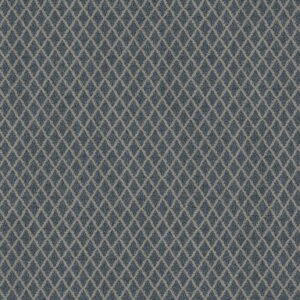 Anderson Tuftex Carpet Springer'S Point West Coast 00456_ZZ049