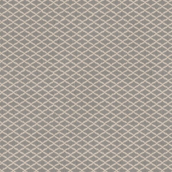 Anderson Tuftex Carpet Springer'S Point Iced Marble 00514_ZZ049