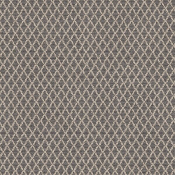 Anderson Tuftex Carpet Springer'S Point Hazelwood 00576_ZZ049