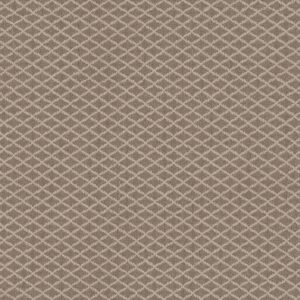 Anderson Tuftex Carpet Springer'S Point Creekbed 00713_ZZ049