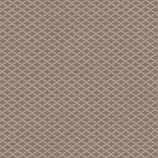 Anderson Tuftex Carpet Springer'S Point Creekbed 00713_ZZ049