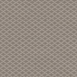 Anderson Tuftex Carpet Springer'S Point Shoreline 00754_ZZ049