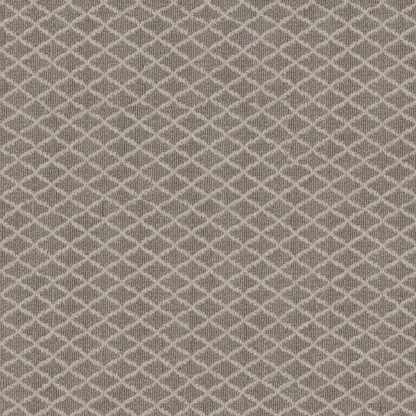 Anderson Tuftex Carpet Springer'S Point Shoreline 00754_ZZ049