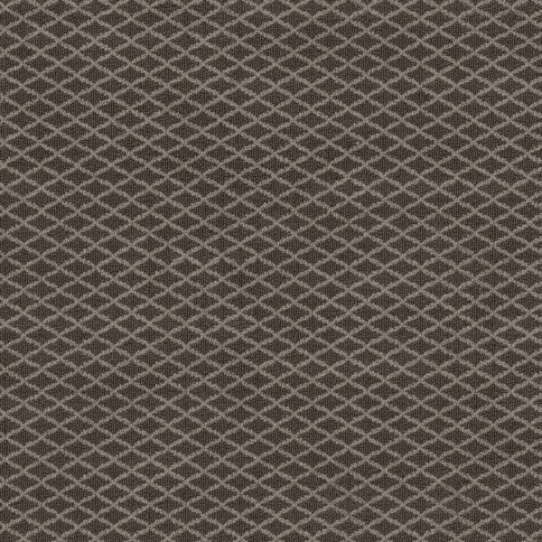 Anderson Tuftex Carpet Springer'S Point Pepperdock 00757_ZZ049