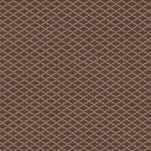 Anderson Tuftex Carpet Springer'S Point Burnt Russet 00877_ZZ049