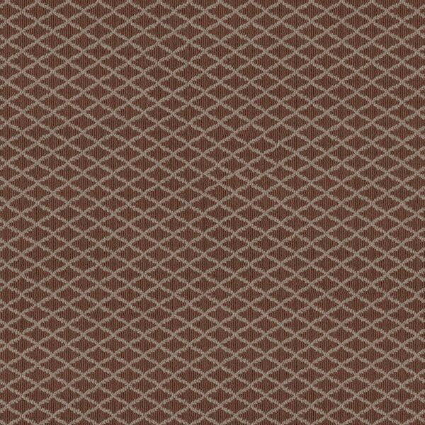 Anderson Tuftex Carpet Springer'S Point Burnt Russet 00877_ZZ049