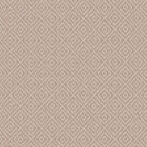 Anderson Tuftex Carpet Stroll Mohair 00212_ZZ050