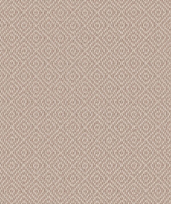 Anderson Tuftex Carpet Stroll Mohair 00212_ZZ050
