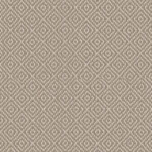 Anderson Tuftex Carpet Stroll Spring Mist 00313_ZZ050