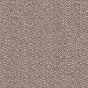 Anderson Tuftex Carpet Stroll Creekbed 00713_ZZ050
