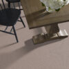 Anderson Tuftex Carpet Stroll Creekbed 00713_ZZ050 - Image 2