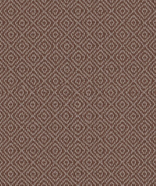Anderson Tuftex Carpet Stroll Burnt Russet 00877_ZZ050