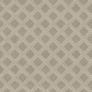 Anderson Tuftex Carpet Scout Birch 00111_ZZ073