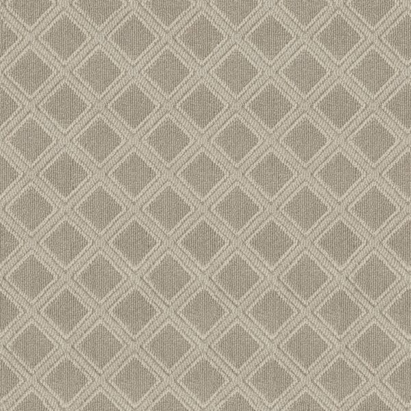 Anderson Tuftex Carpet Scout Birch 00111_ZZ073